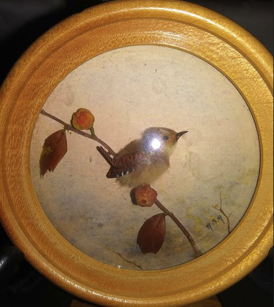 House Wren